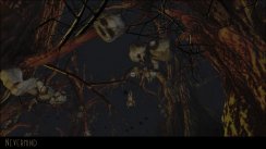 Related Image