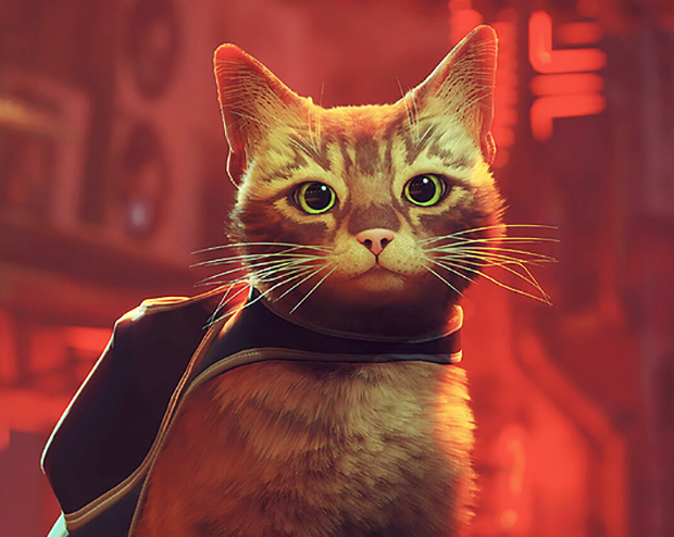 I dag er den "viktigste" internasjonale kattedagen