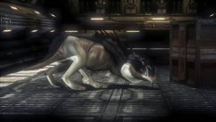 media/91/attanyabilderpa_29128t.jpg