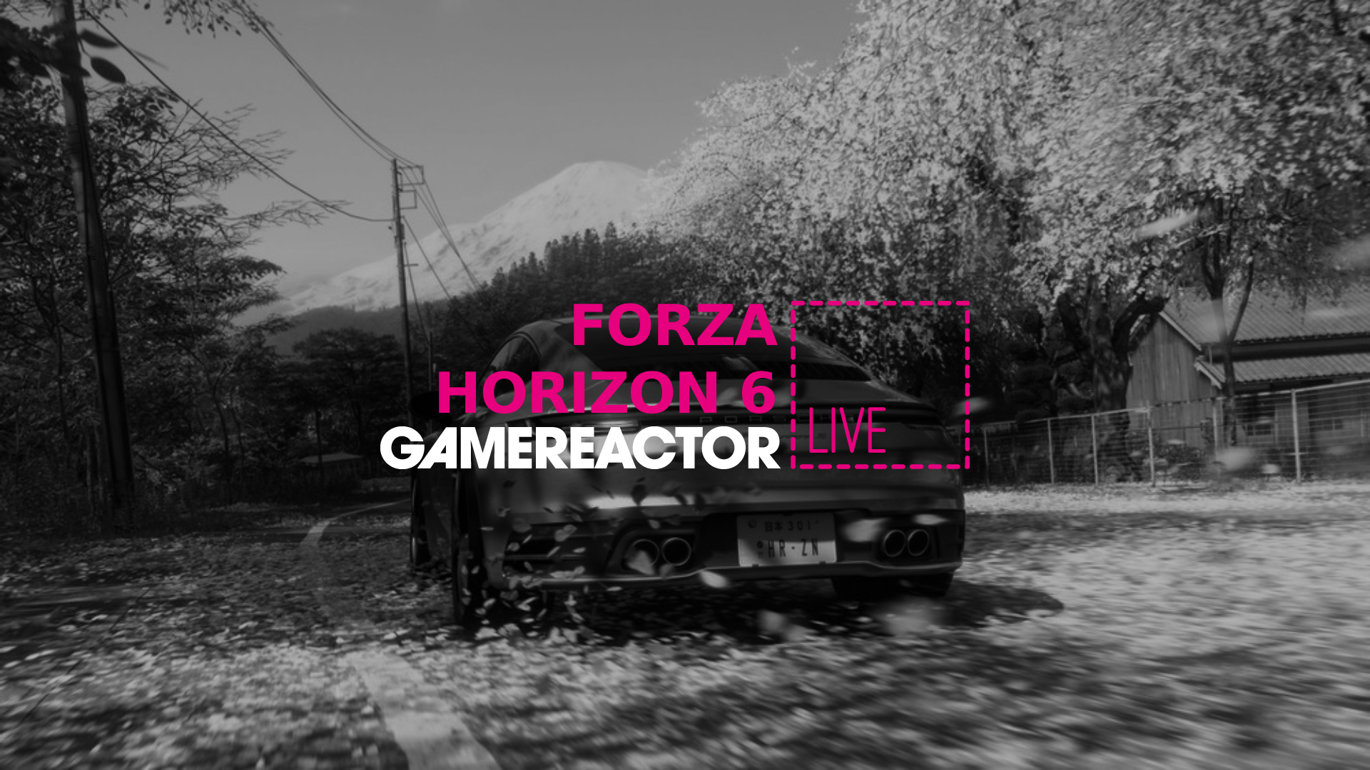 Vi spiller Forza Horizon 6 på dagens GR Live