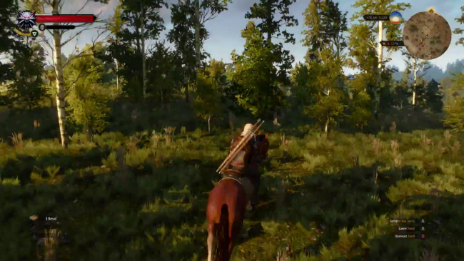The Witcher 3: Wild Hunt