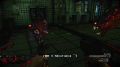 Related Image