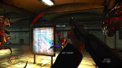 Related Image