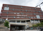 Fransk sykehus evakuert etter funn av artillerigranat fra f&oslash;rste verdenskrig i pasientens endetarm under operasjon