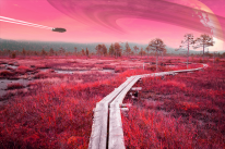 media/95/_1839583t.png