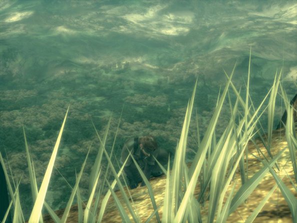 Metal Gear Solid 3: Snake Eater