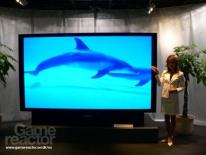 media/96/gadget_99652t.jpg
