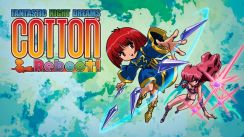 media/99/cottonrebootcoming_3459923t.jpg