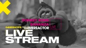 Donkey Kong Bananza - Livestream-gjentakelse